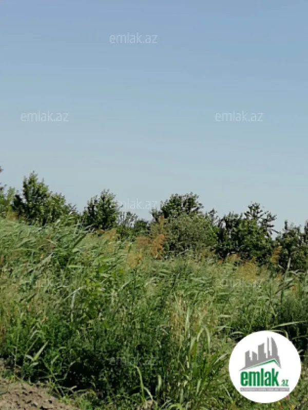 Satılır torpaq sahəsi 24 m²