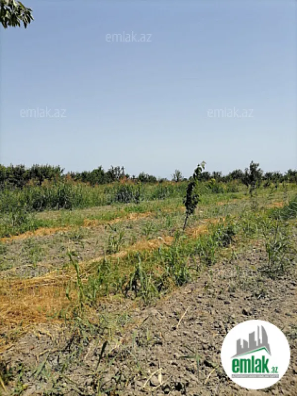 Satılır torpaq sahəsi 24 m²