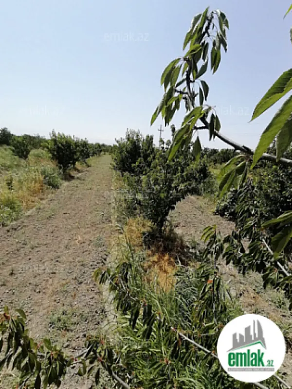 Satılır torpaq sahəsi 24 m²