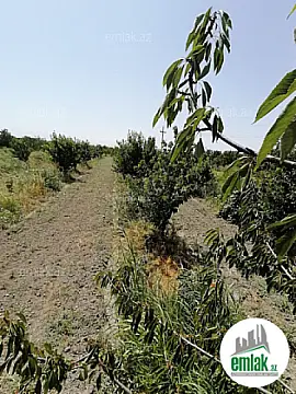 Satılır torpaq sahəsi 24 m²