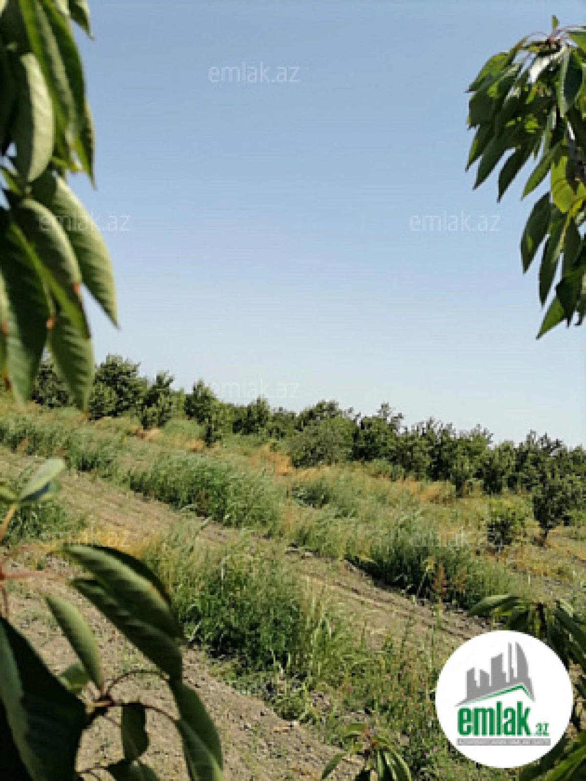 Satılır torpaq sahəsi 24 m²