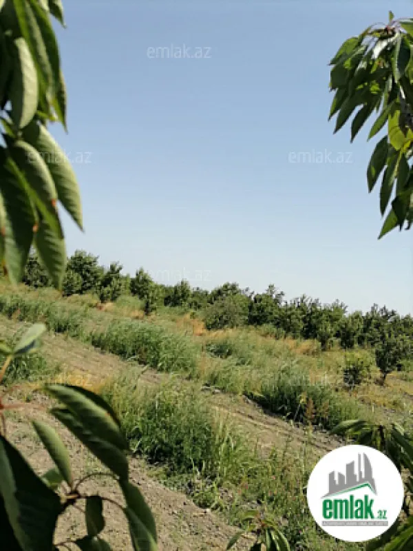 Satılır torpaq sahəsi 24 m²