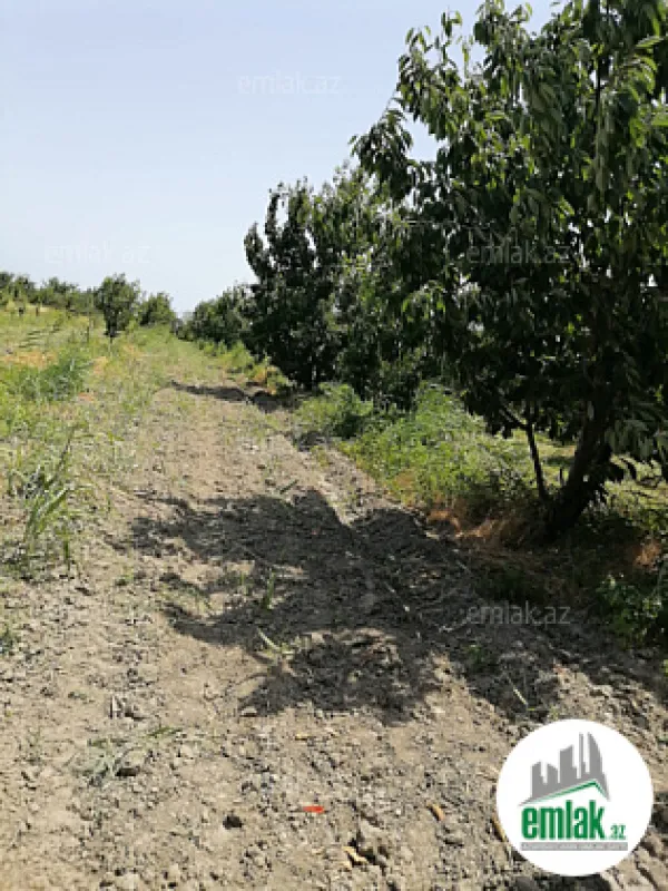 Satılır torpaq sahəsi 24 m²