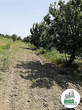 Satılır torpaq sahəsi 24 m²