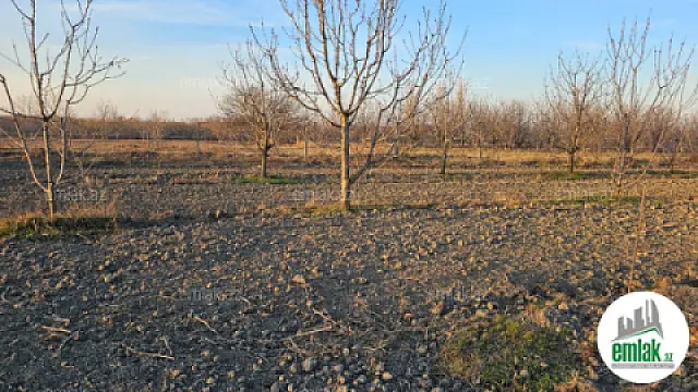 Satılır torpaq sahəsi 24 m²