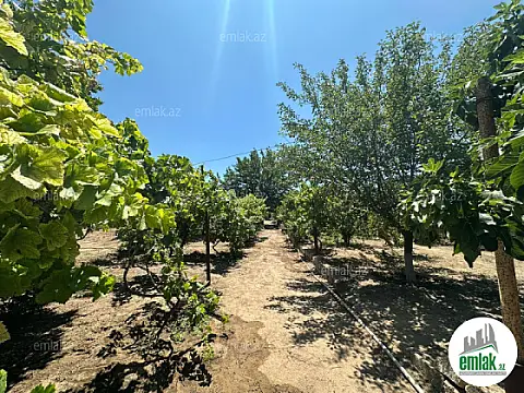 Satılır torpaq sahəsi 16 m²