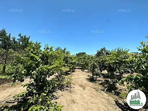 Satılır torpaq sahəsi 16 m²