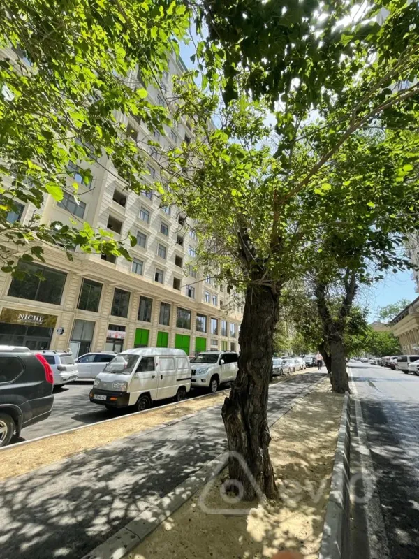 Satılır 5 otaqlı yeni tikili 255 m²