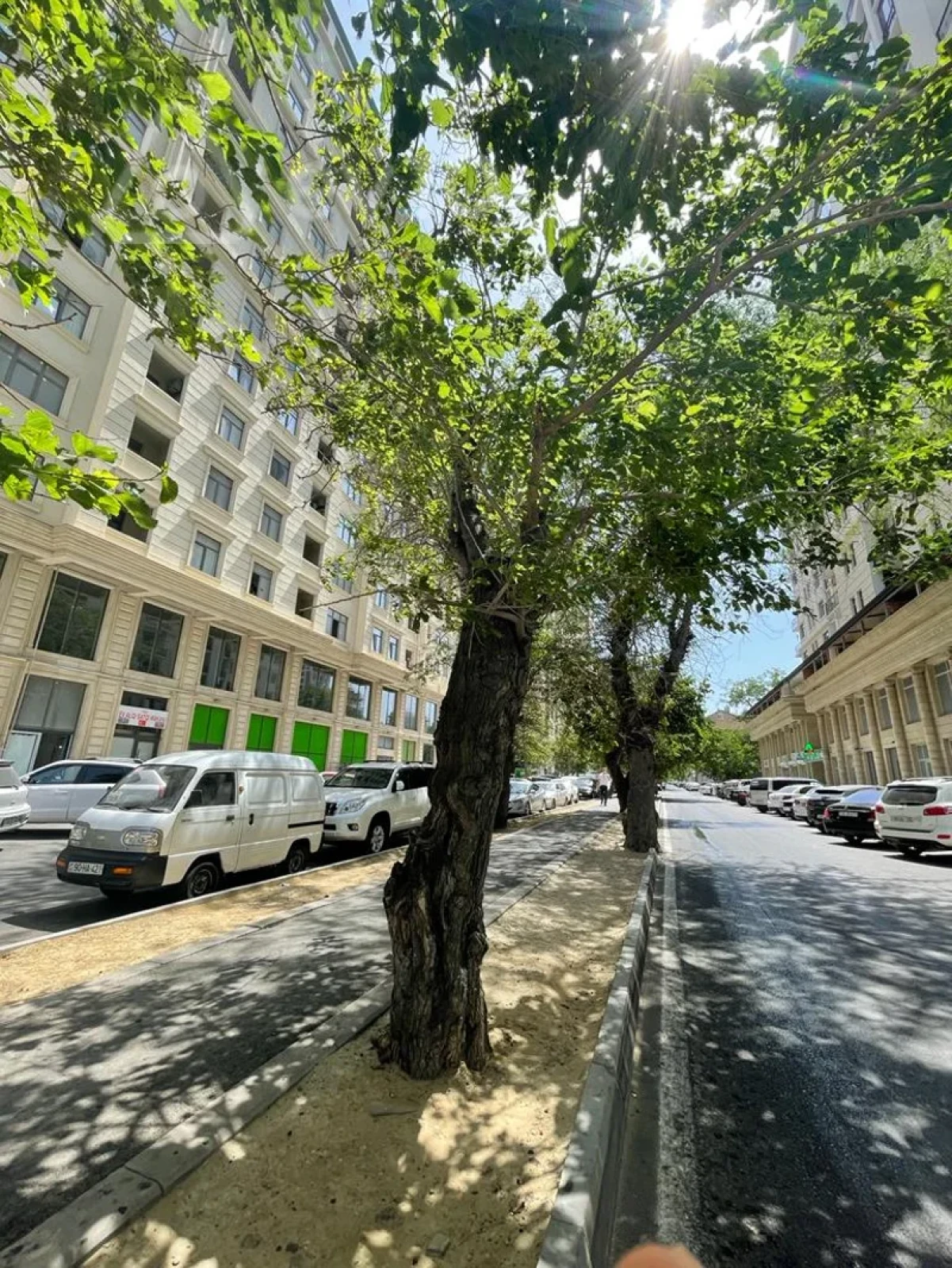 Satılır 5 otaqlı yeni tikili 255 m²