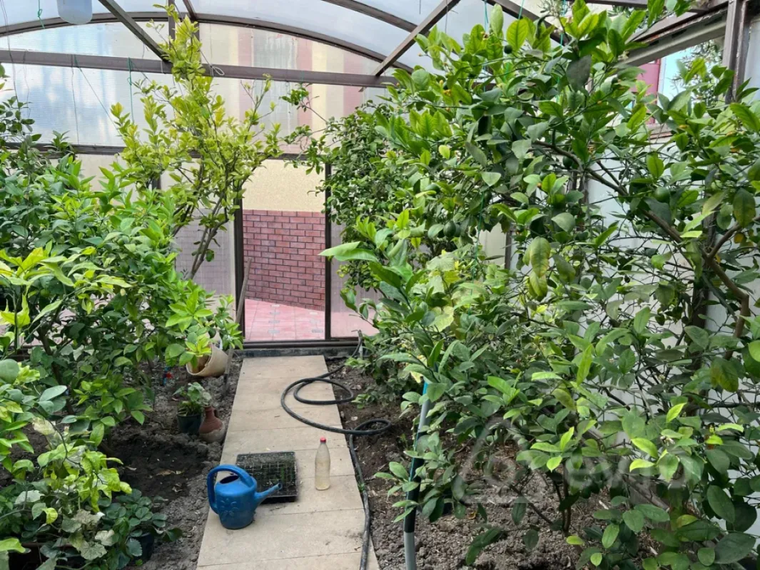 Kirayə verilir 4 otaqlı həyət evi 150 m²