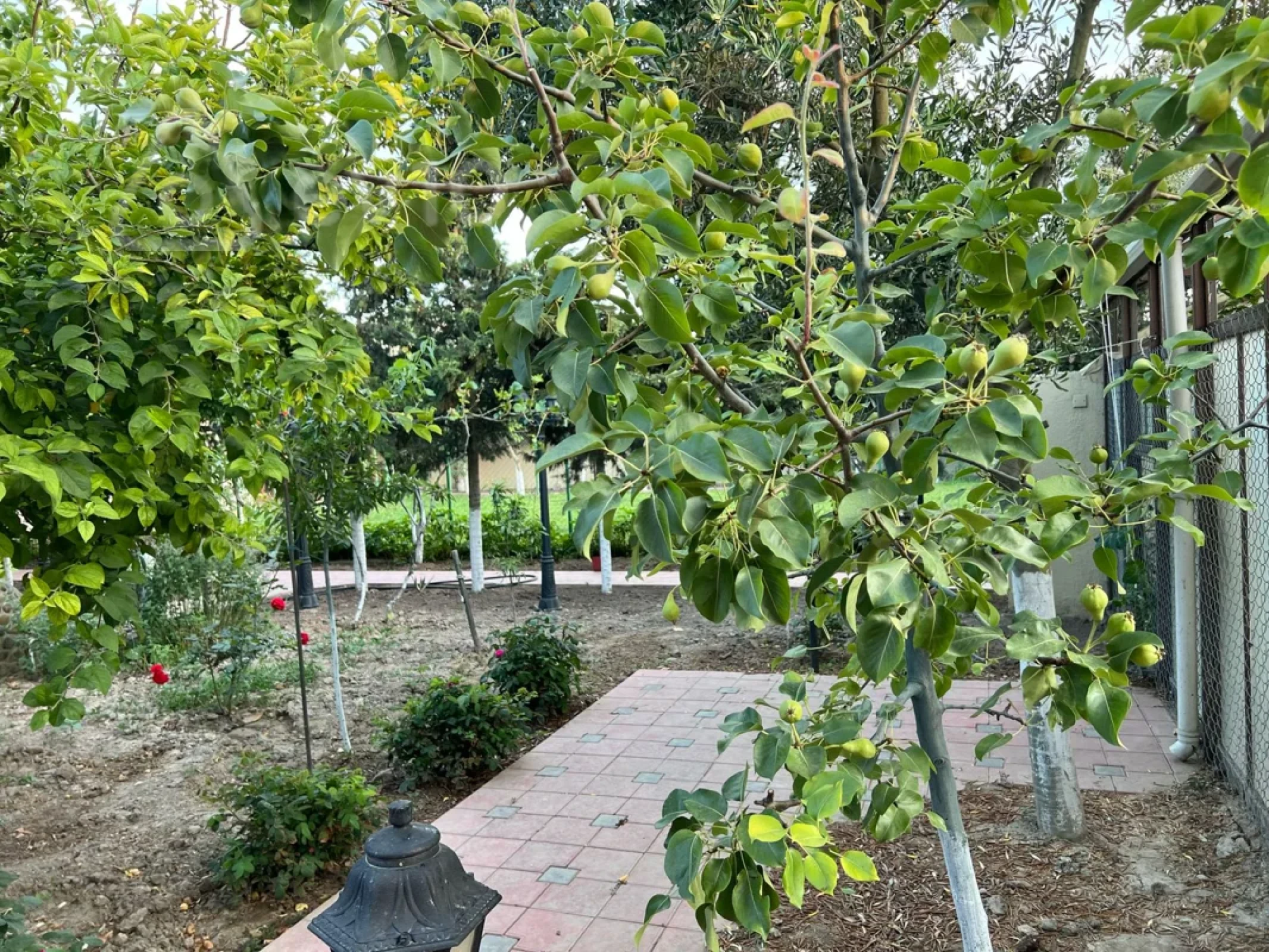 Kirayə verilir 4 otaqlı həyət evi 150 m²