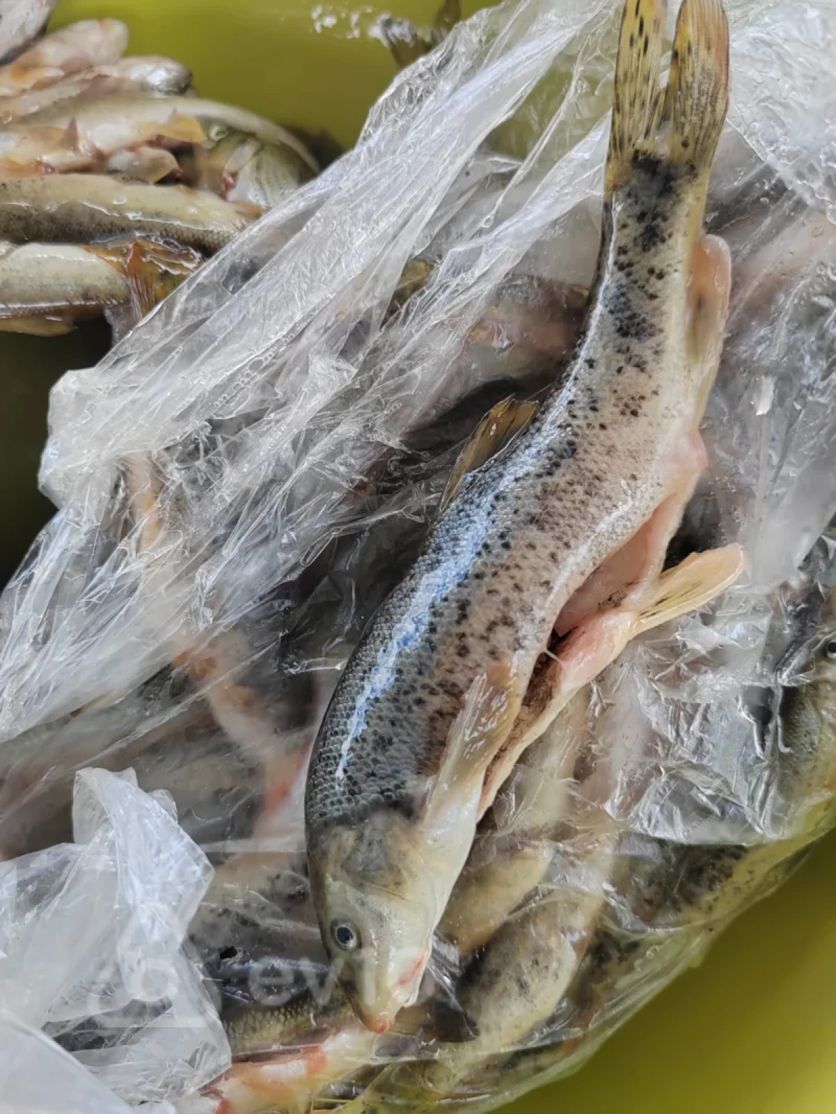 Satılır 4 otaqlı həyət evi 170 m²