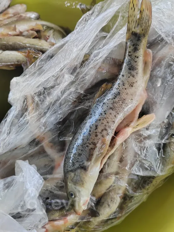 Satılır 4 otaqlı həyət evi 170 m²