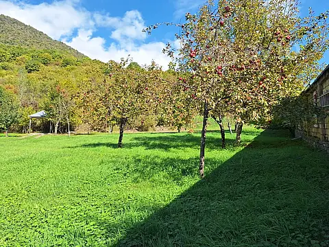 Satılır torpaq sahəsi — Qəbələ