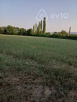 Satılır torpaq sahəsi — Şəki