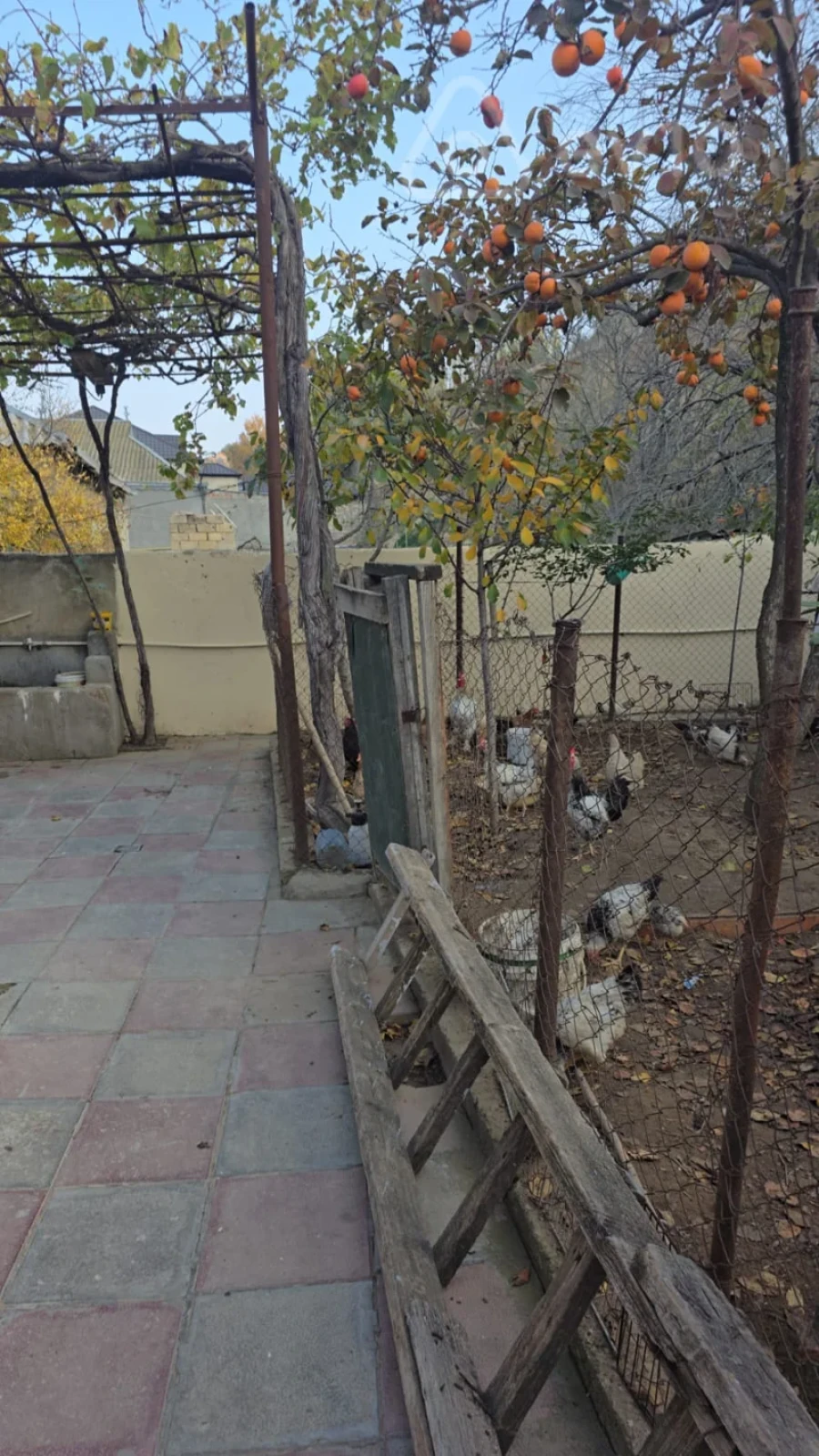 Satılır 4 otaqlı həyət evi 220 m²