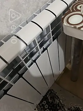 Kirayə verilir 1 otaqlı həyət evi 25 m²