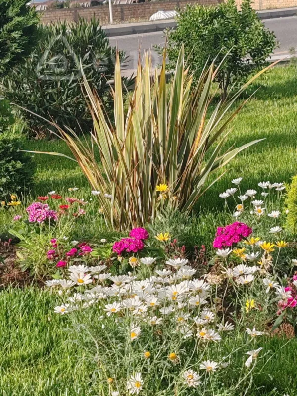 Satılır 5 otaqlı həyət evi 360 m²