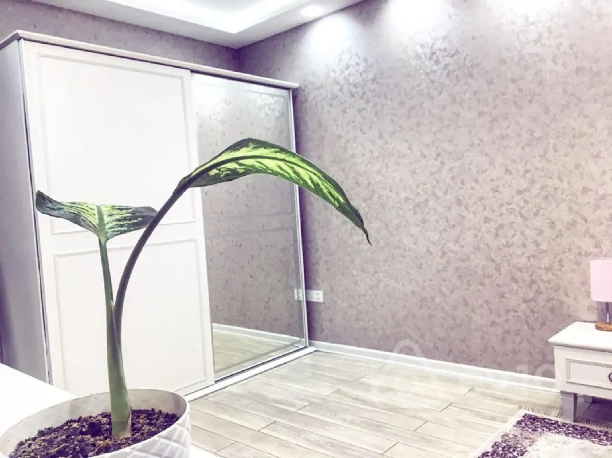 Satılır 2 otaqlı yeni tikili 75 m²