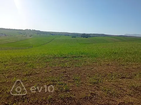 Satılır torpaq sahəsi — Qusar