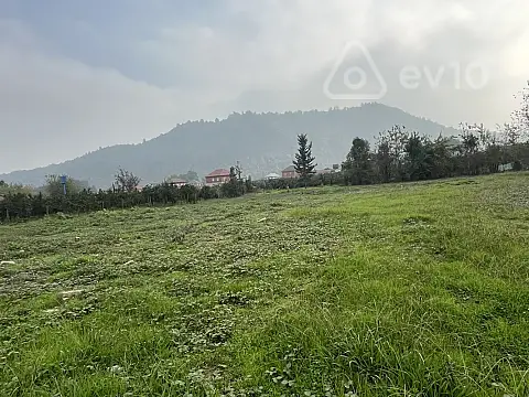 Satılır torpaq sahəsi — Astara