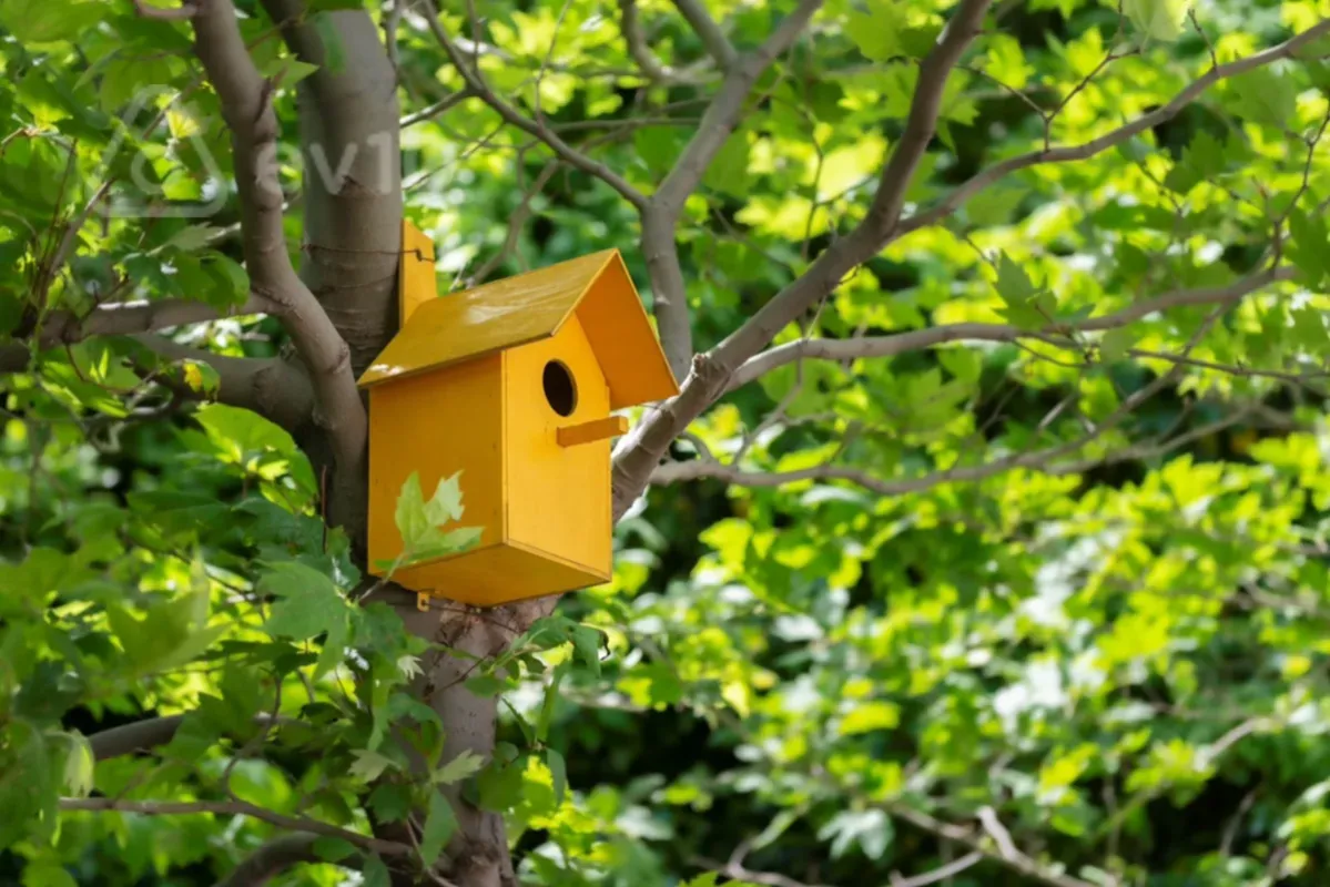 Kirayə verilir 3 otaqlı yeni tikili 170 m²