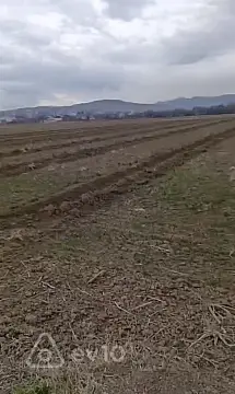 Satılır torpaq sahəsi — Tovuz