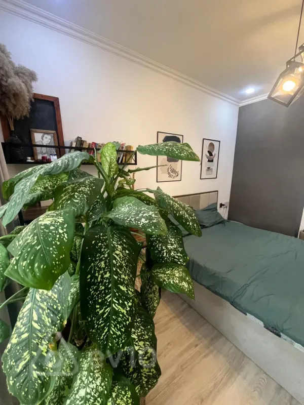 Satılır 2 otaqlı yeni tikili 53 m²