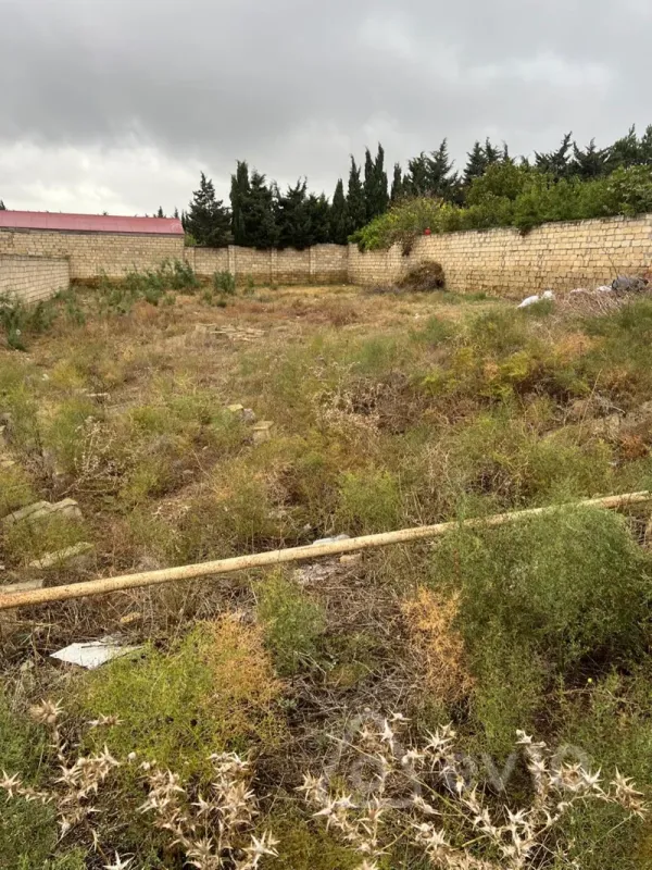 Satılır torpaq sahəsi