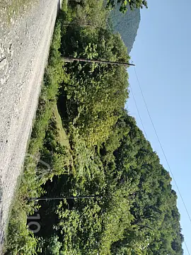 Kirayə verilir 1 otaqlı ofis 20 m²