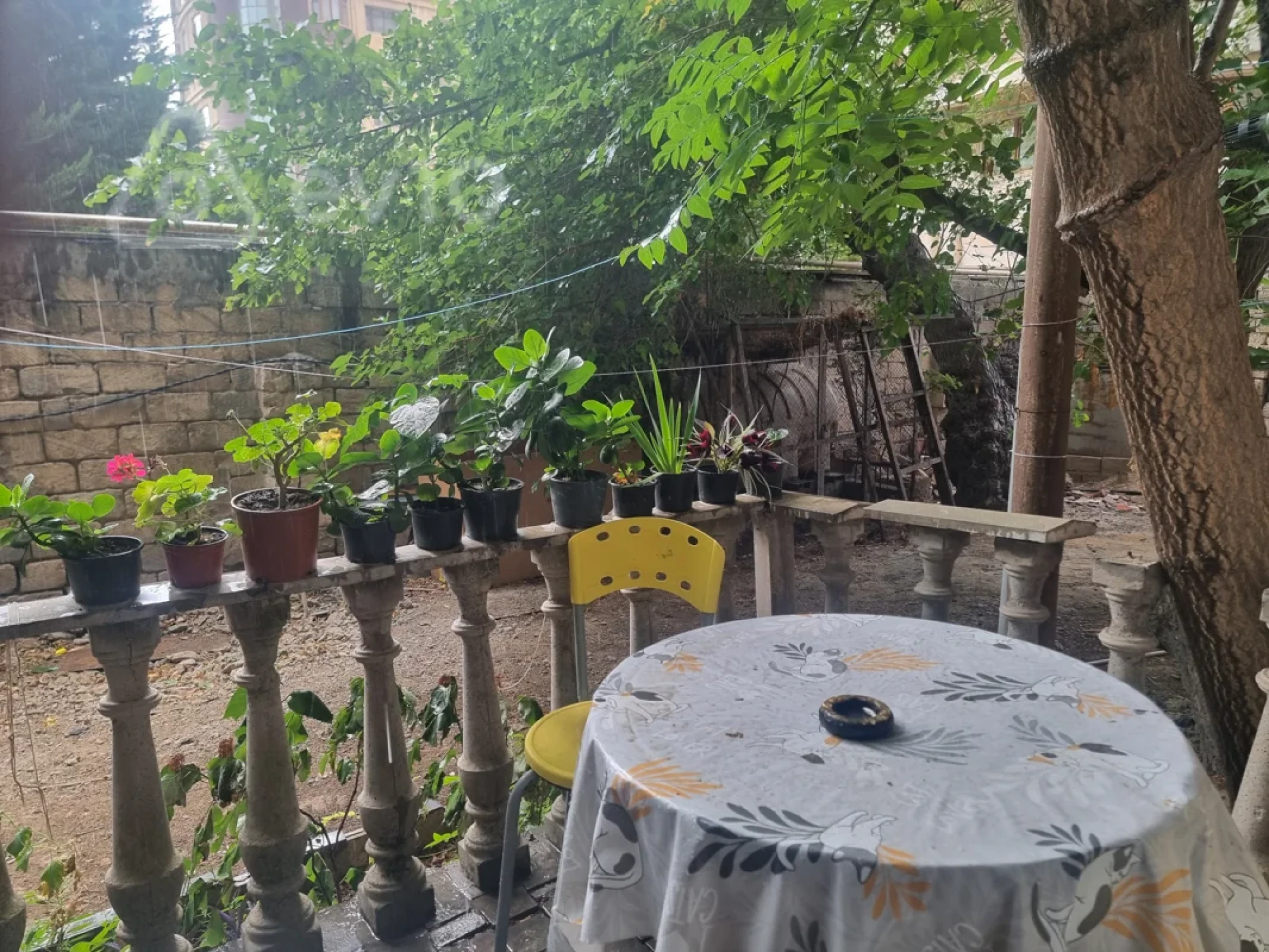 Kirayə verilir 3 otaqlı köhnə tikili 200 m²