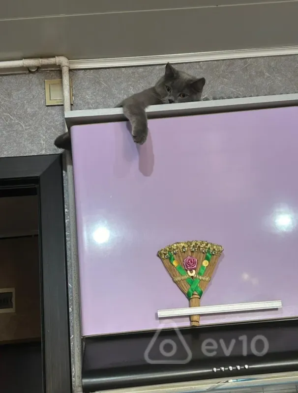 Satılır 2 otaqlı köhnə tikili 70 m²