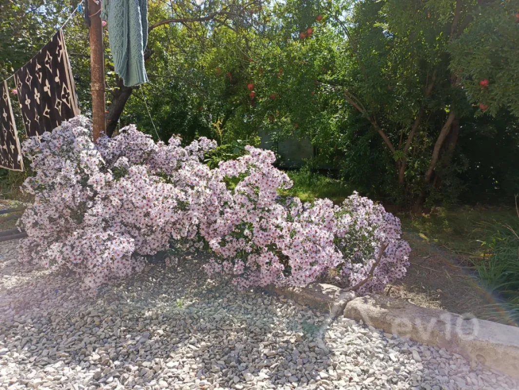 Satılır 6 otaqlı həyət evi 220 m²