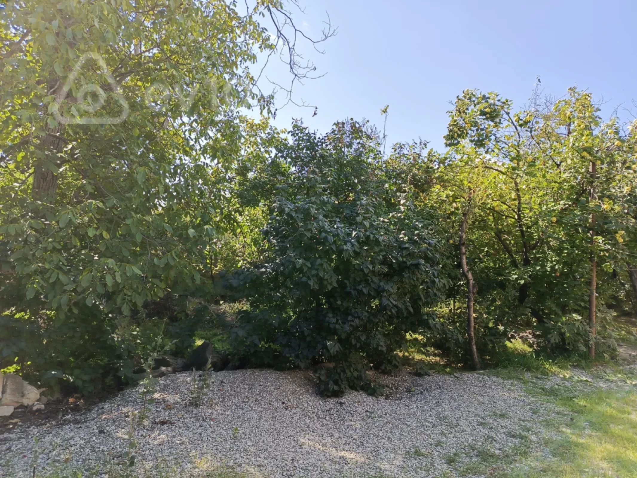 Satılır 6 otaqlı həyət evi 220 m²