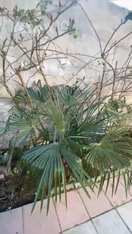 Satılır 4 otaqlı həyət evi 110 m²