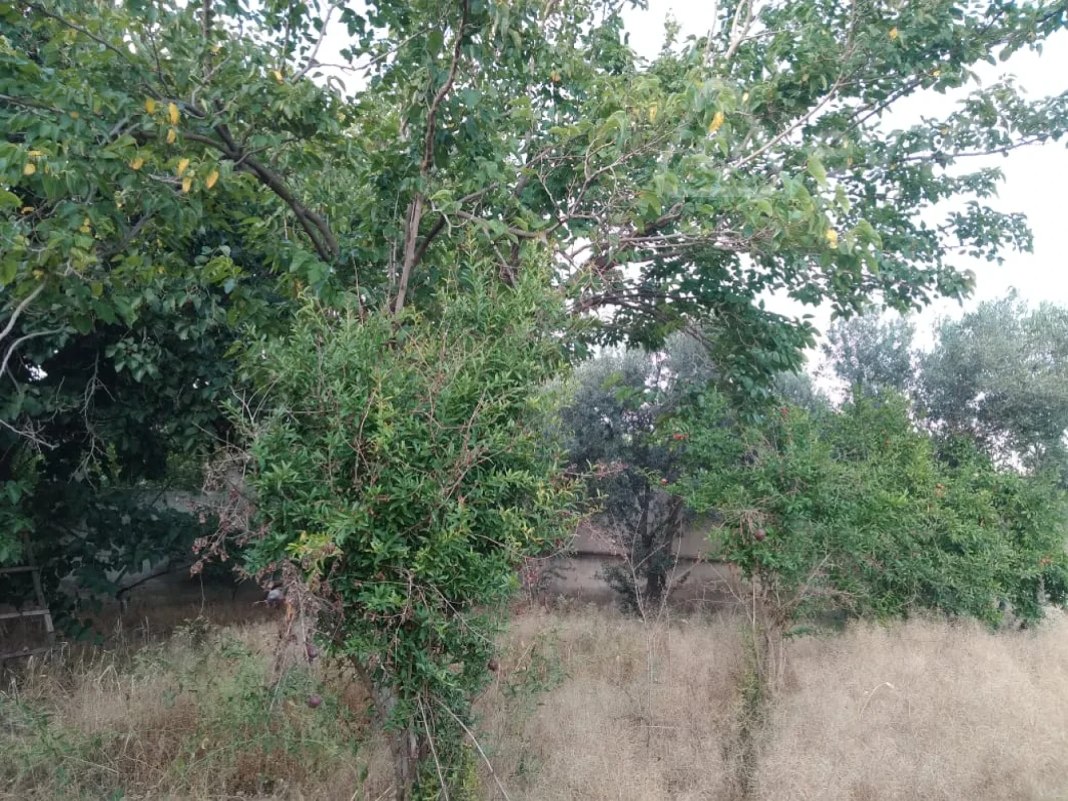 Satılır 4 otaqlı həyət evi 100 m²