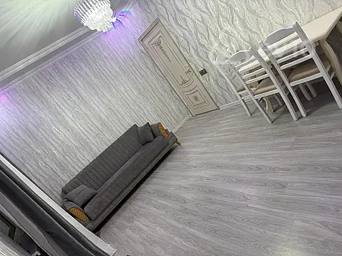Kirayə verilir 3 otaqlı yeni tikili 90 m²