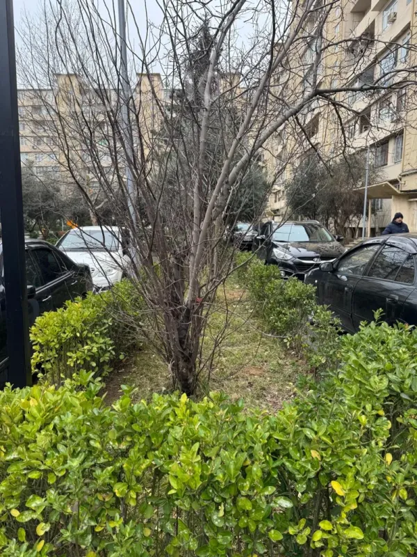 Satılır 5 otaqlı köhnə tikili 120 m²