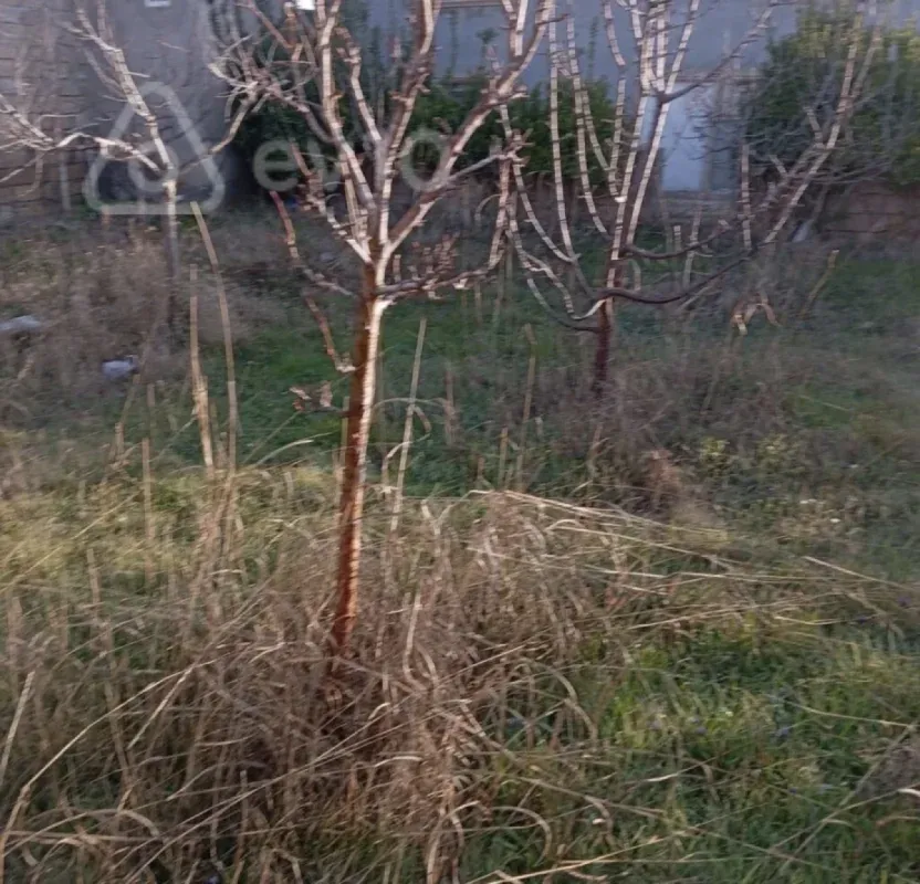 Satılır 8 otaqlı həyət evi 6 m²