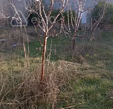 Satılır 8 otaqlı həyət evi 6 m²