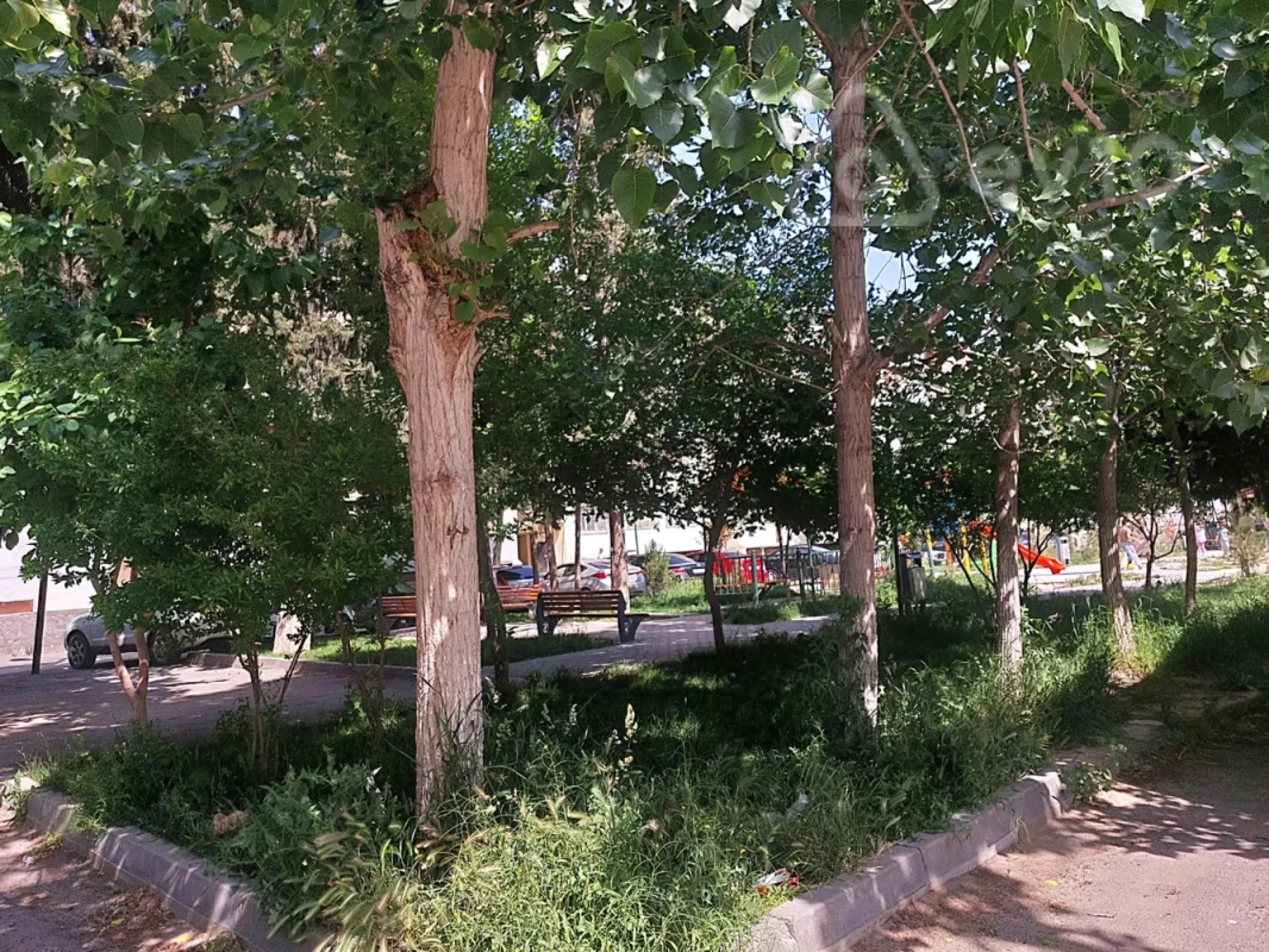 Kirayə verilir 2 otaqlı köhnə tikili 55 m²