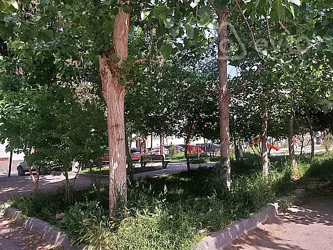 Kirayə verilir 2 otaqlı köhnə tikili 55 m²