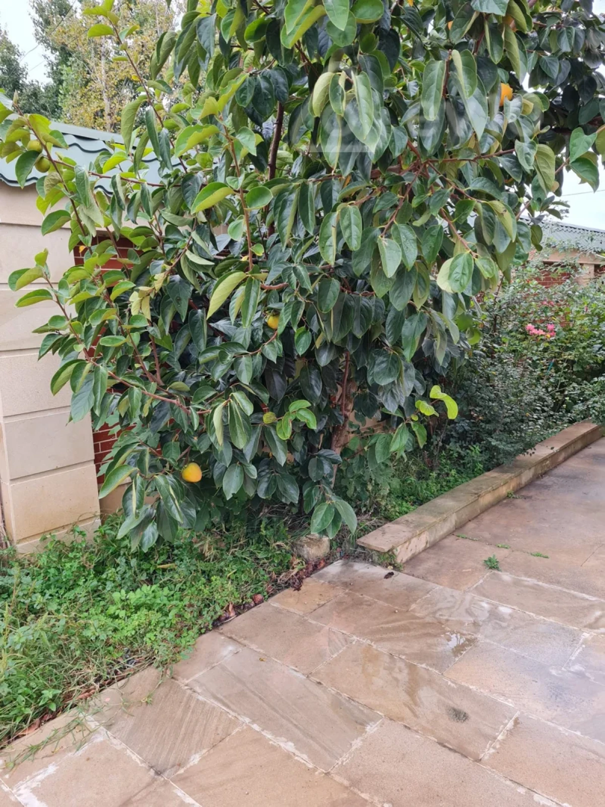 Satılır 7 otaqlı həyət evi 250 m²