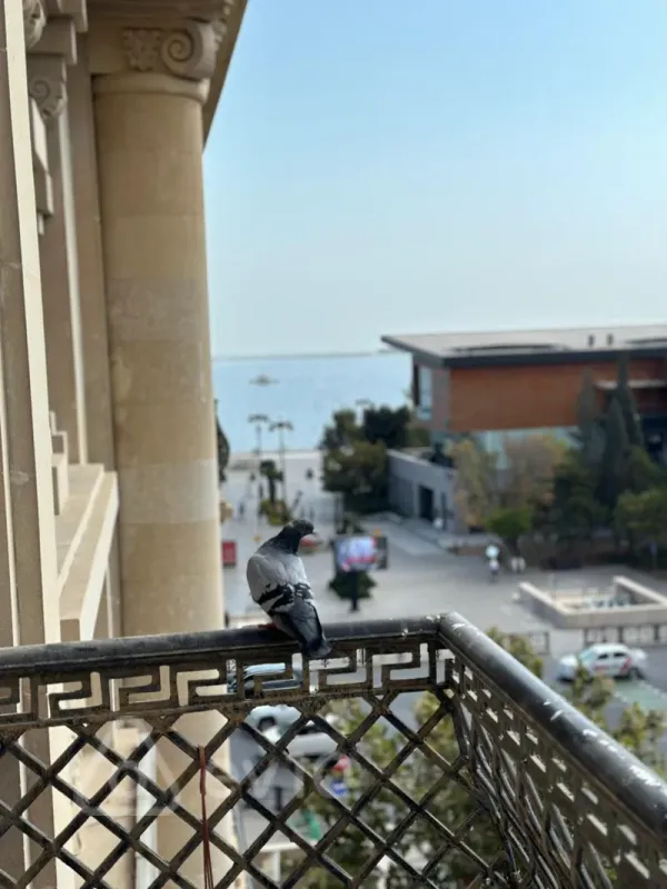 Kirayə verilir 3 otaqlı köhnə tikili 150 m²