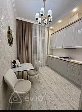Kirayə verilir 2 otaqlı yeni tikili 68 m²