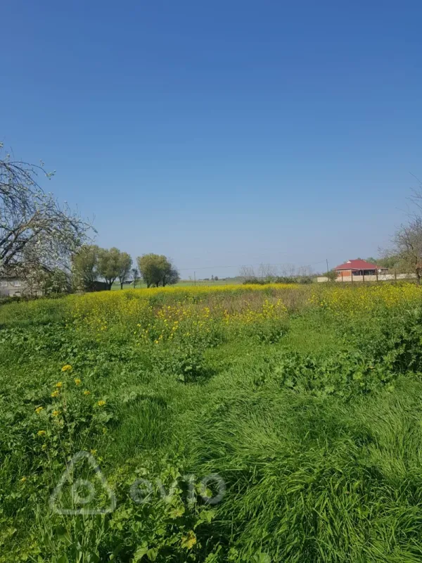 Satılır 5 otaqlı həyət evi 251 m²