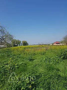 Satılır 5 otaqlı həyət evi 251 m²