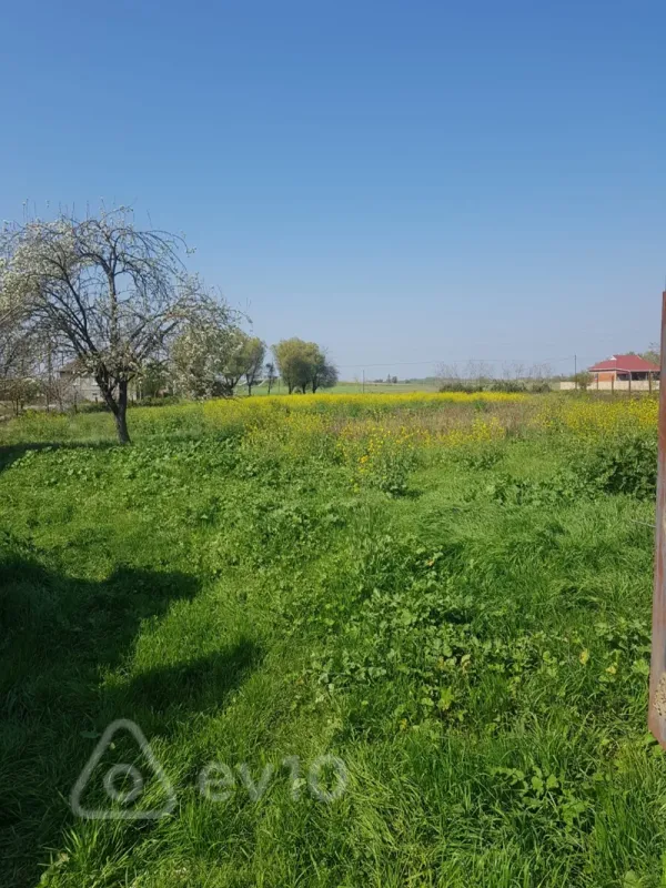 Satılır 5 otaqlı həyət evi 251 m²