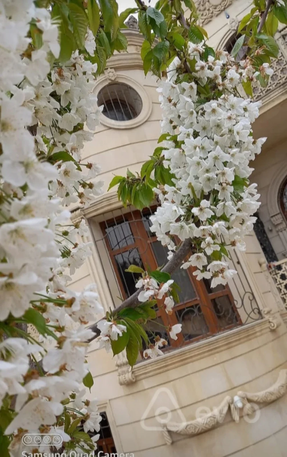 Kirayə verilir 10 otaqlı həyət evi 360 m²