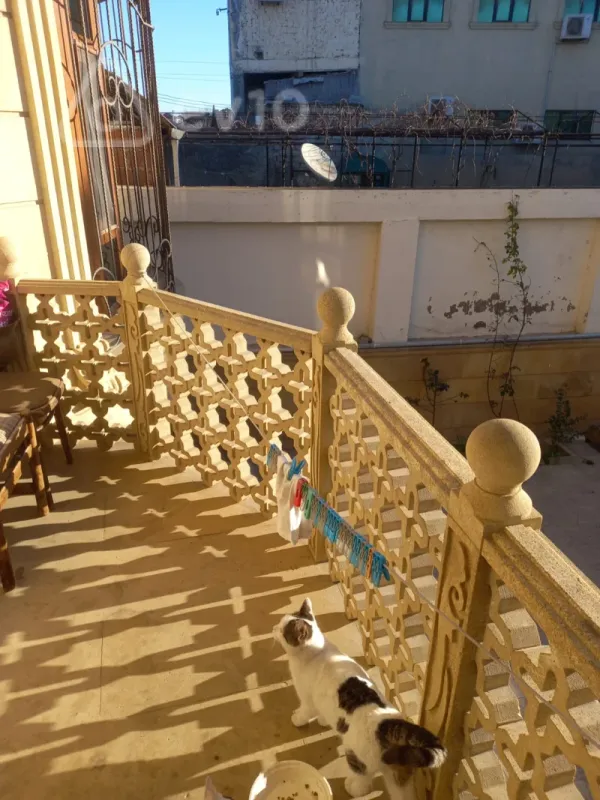 Kirayə verilir 10 otaqlı həyət evi 360 m²